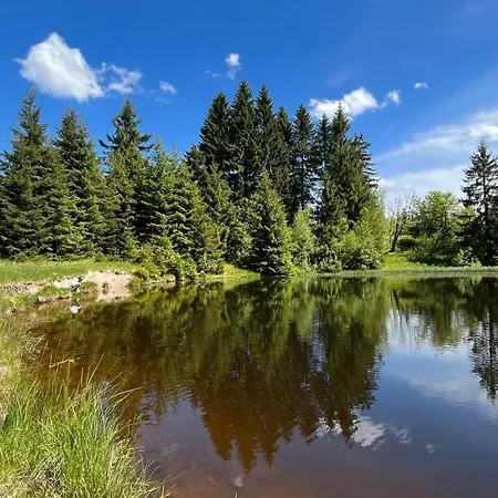Apartman Natura Klinovec *