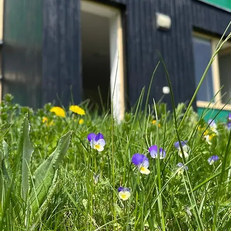 Apartment Apartman Natura Klinovec