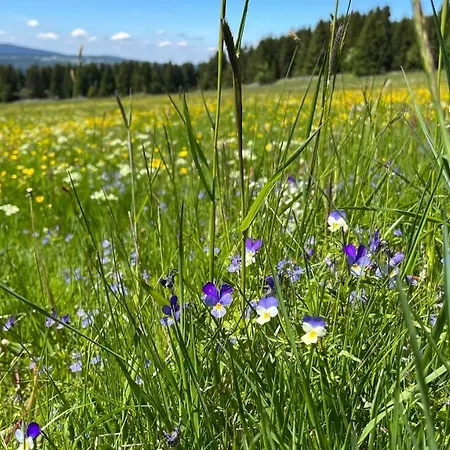 Apartment Apartman Natura Klinovec *