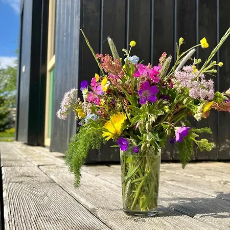 Lejlighed Lamba Klinovec Loučná pod Klínovcem
