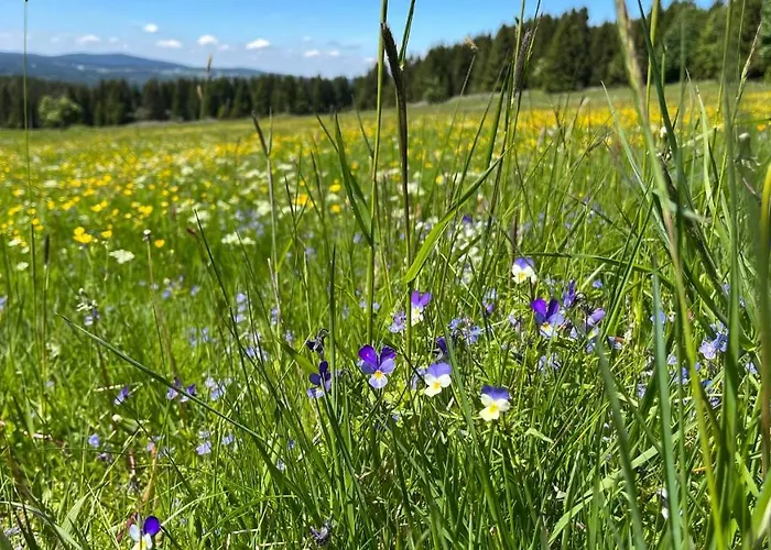 דירה Lamba Klinovec *