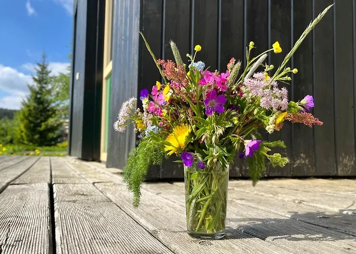 דירה Lamba Klinovec Loučná pod Klínovcem