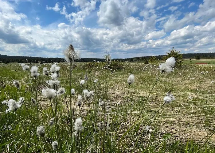 Lamba Klinovec Lejlighed Loučná pod Klínovcem